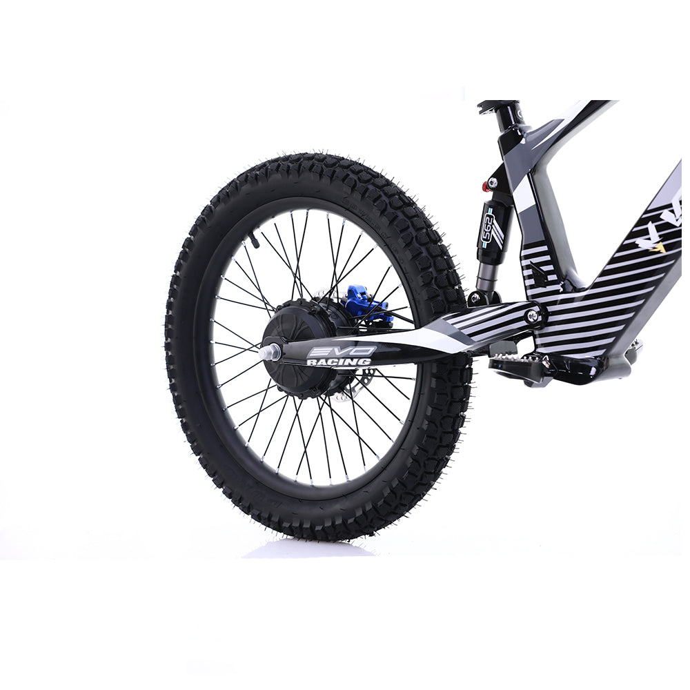 Voltaic Youth Electric Dirt Bike 20'' Flying Fox